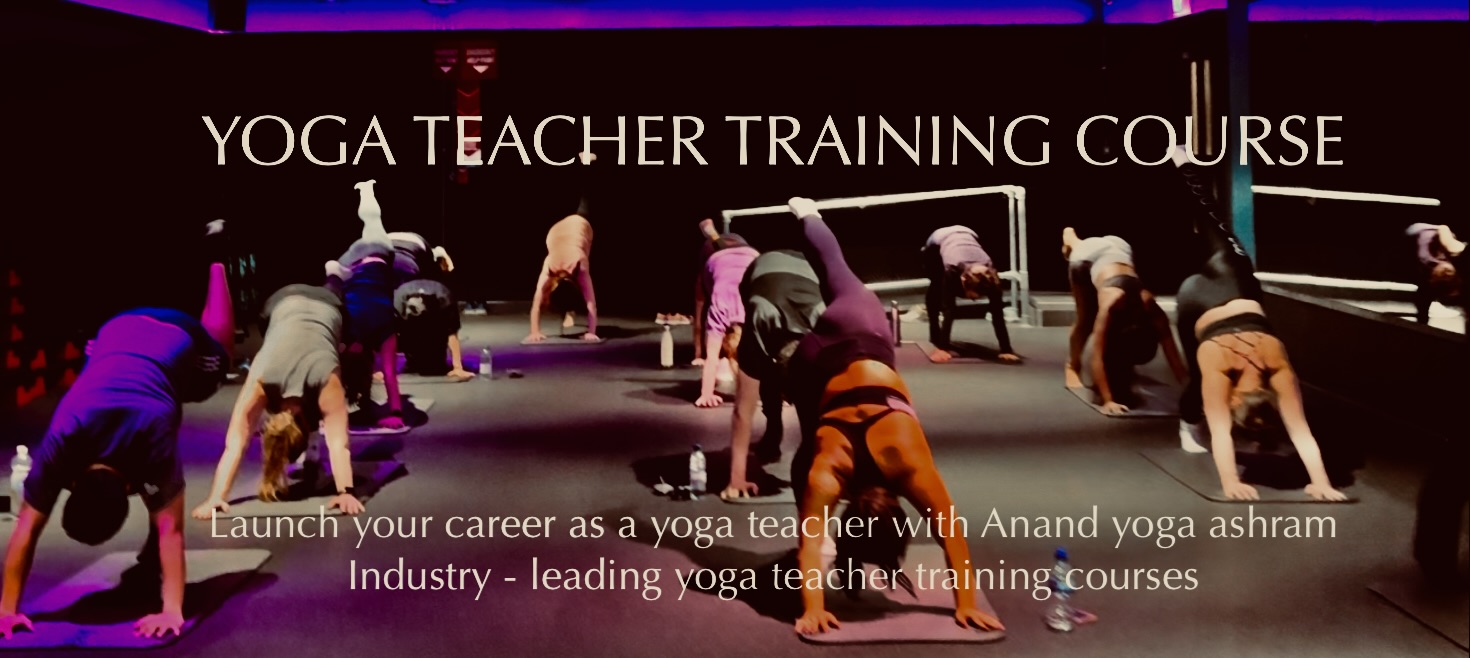 Yoga Teacher Training Course – Join Today